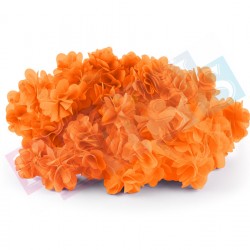 Turuncu Lazer Gül Turuncu Lazer Gül