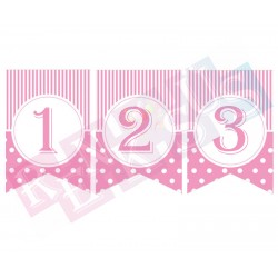 Pauntiyeli Flama Rakam Pembe