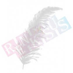 Tüy Beyaz Balon Süsü 100'lü