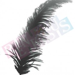 Tüy Siyah Balon Süsü 100'lü Tüy Siyah Balon Süsü 100'lü